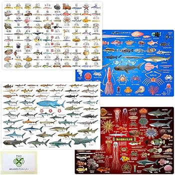 Amazon.co.jp: ザ・アクセス 下敷き A4 魚 【4種セット】 漢字